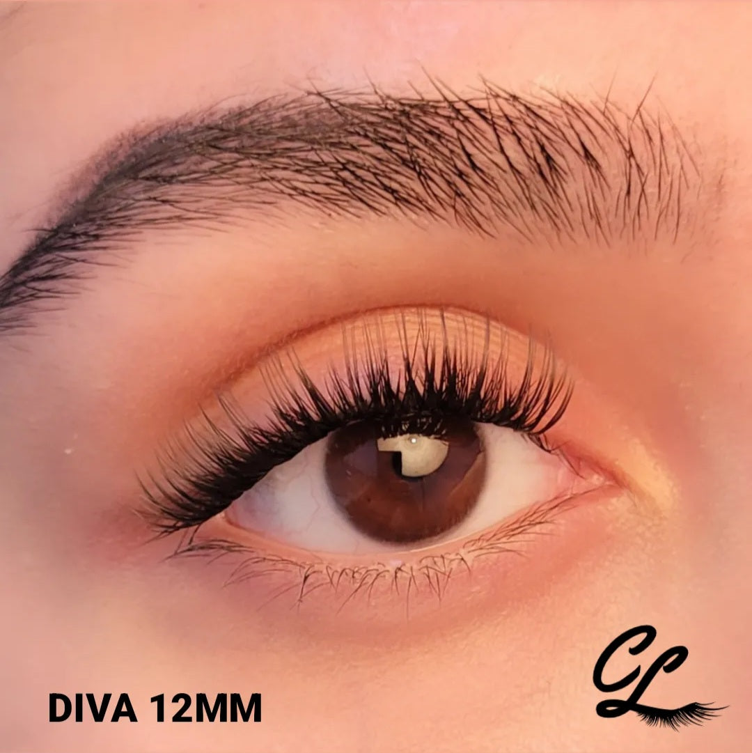 SPECIAL Curly Lashes Mix