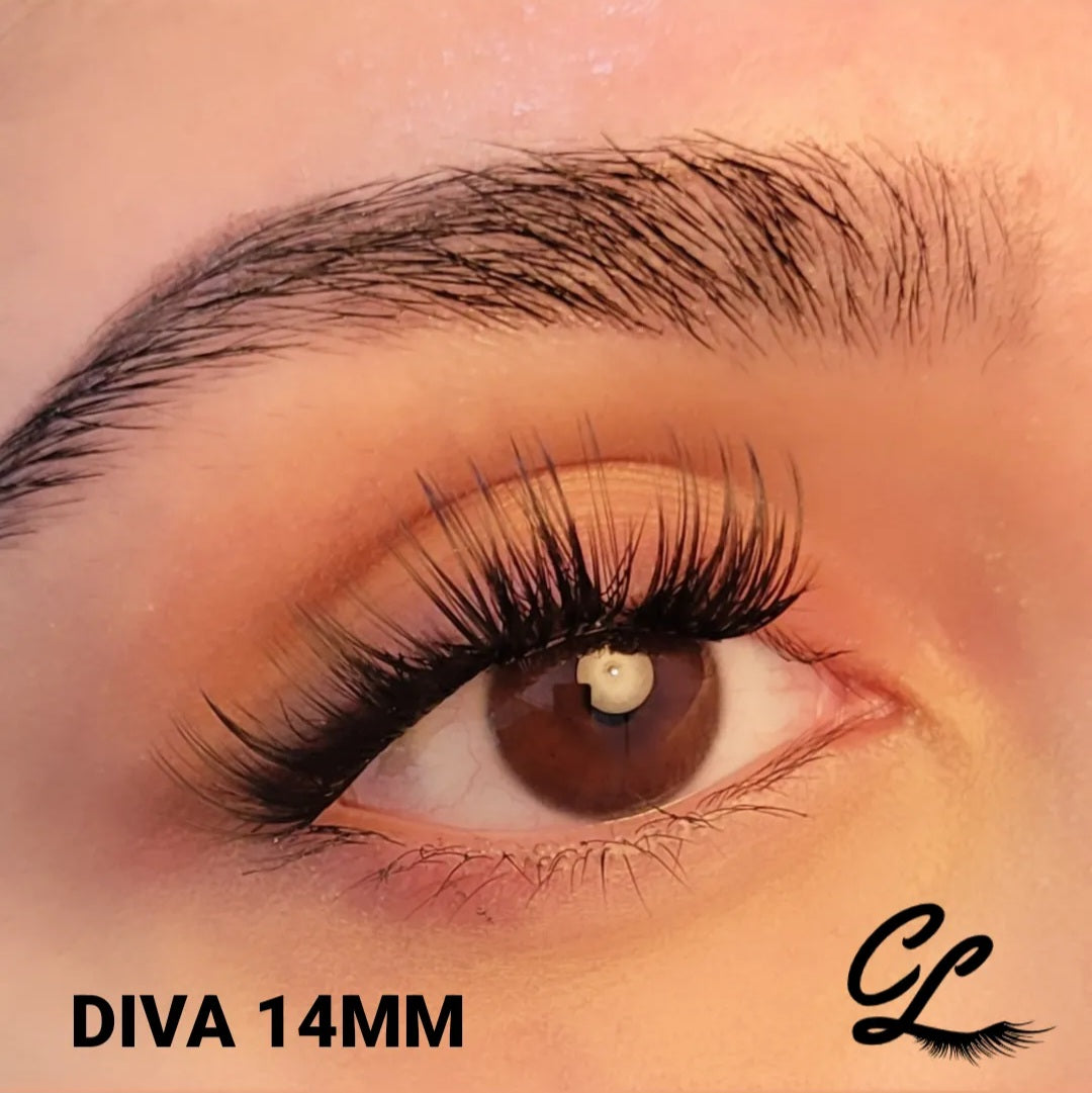 SPECIAL Curly Lashes Mix