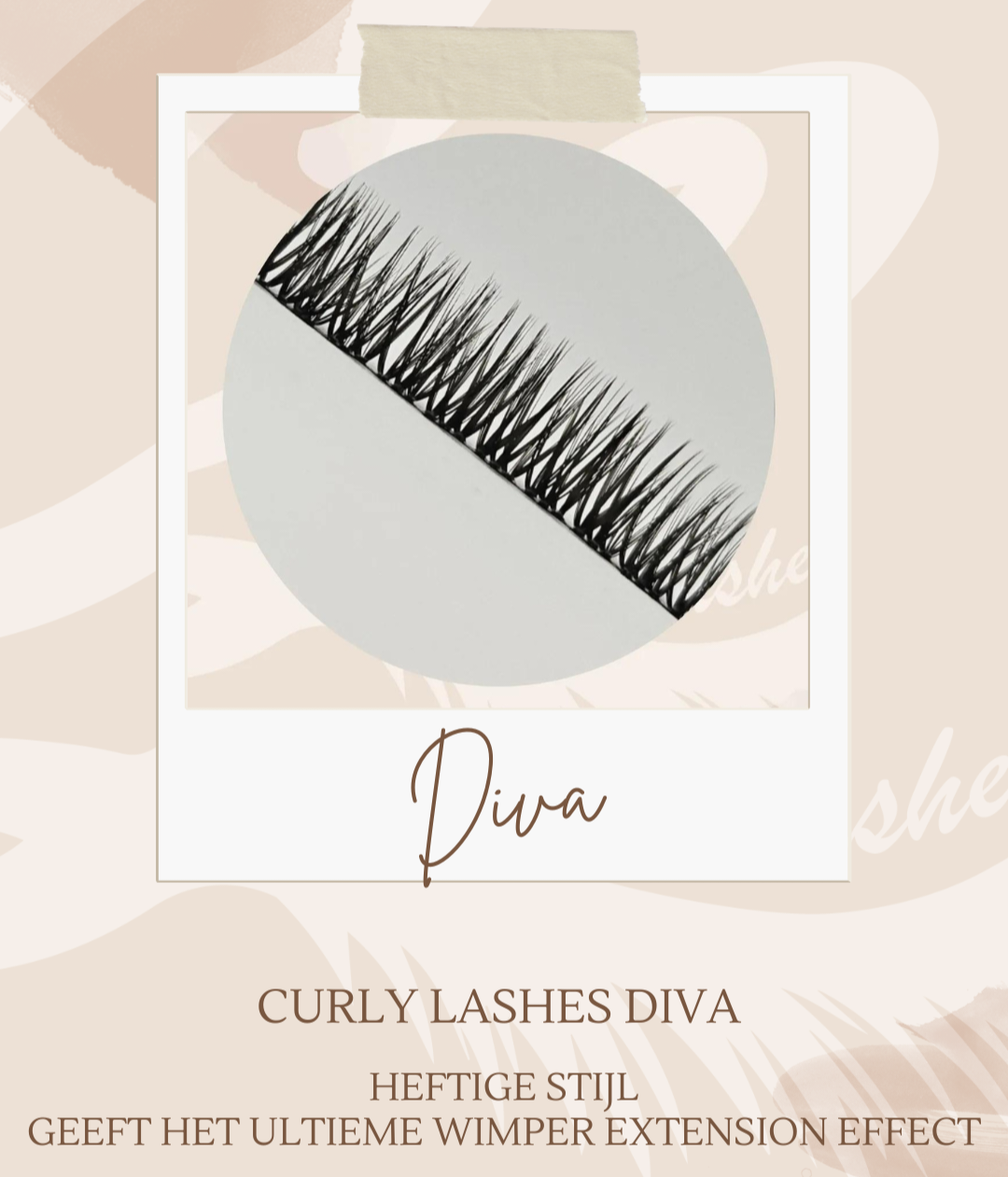 Curly Lashes 2 Strip